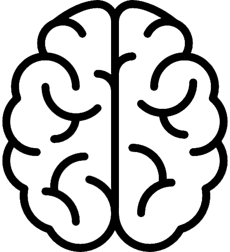 Практика работы с алгоритмами и умными системами